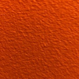 Meet your Posher, Tamara